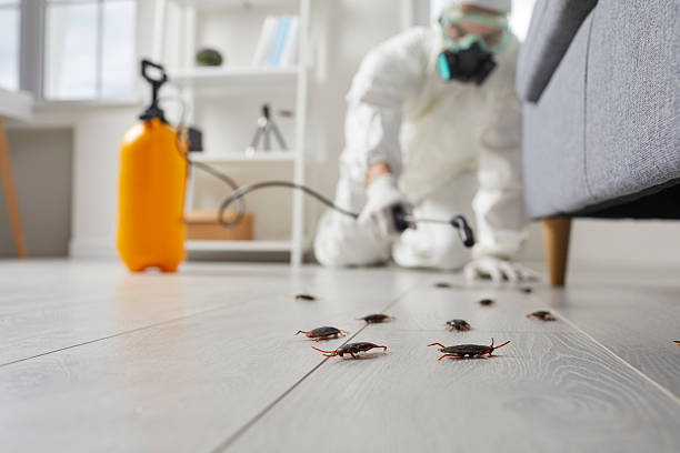 Commercial Kitchen Cockroach Control in Pawnee